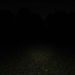 Lummi Wee 50 Lumen