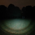 Wolf-Eyes Night Hunter defokussiert
