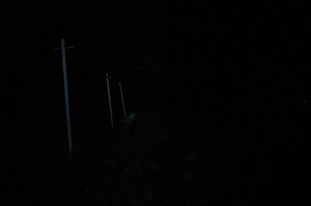 Lumintop ED20 018